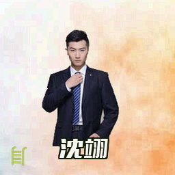 沈翊